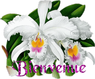 présentation aux membres du forum 091018073828453904662709