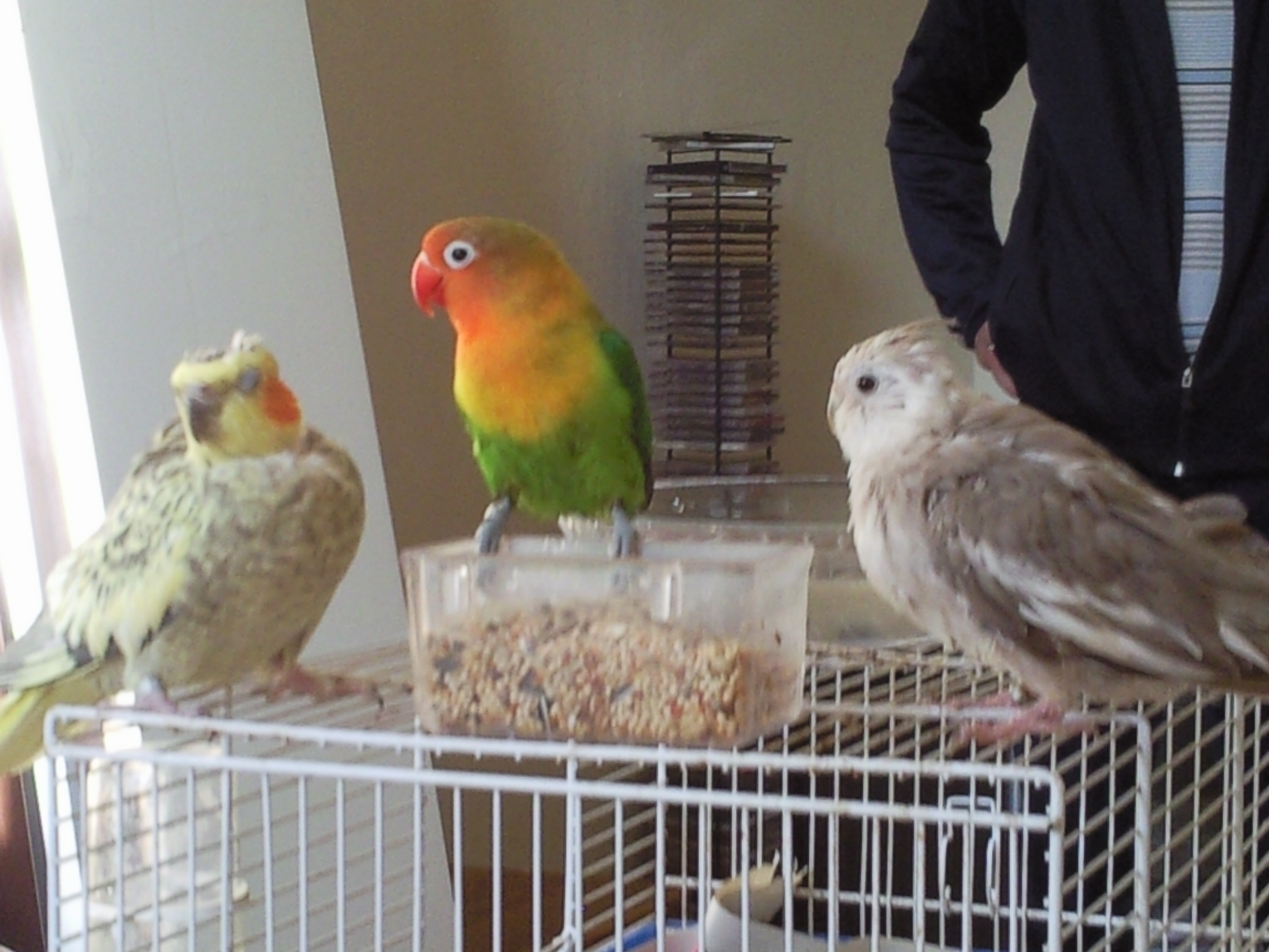 Photo0016