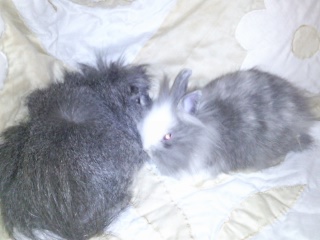 Photo0075