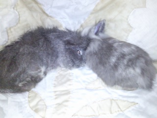 Photo0076