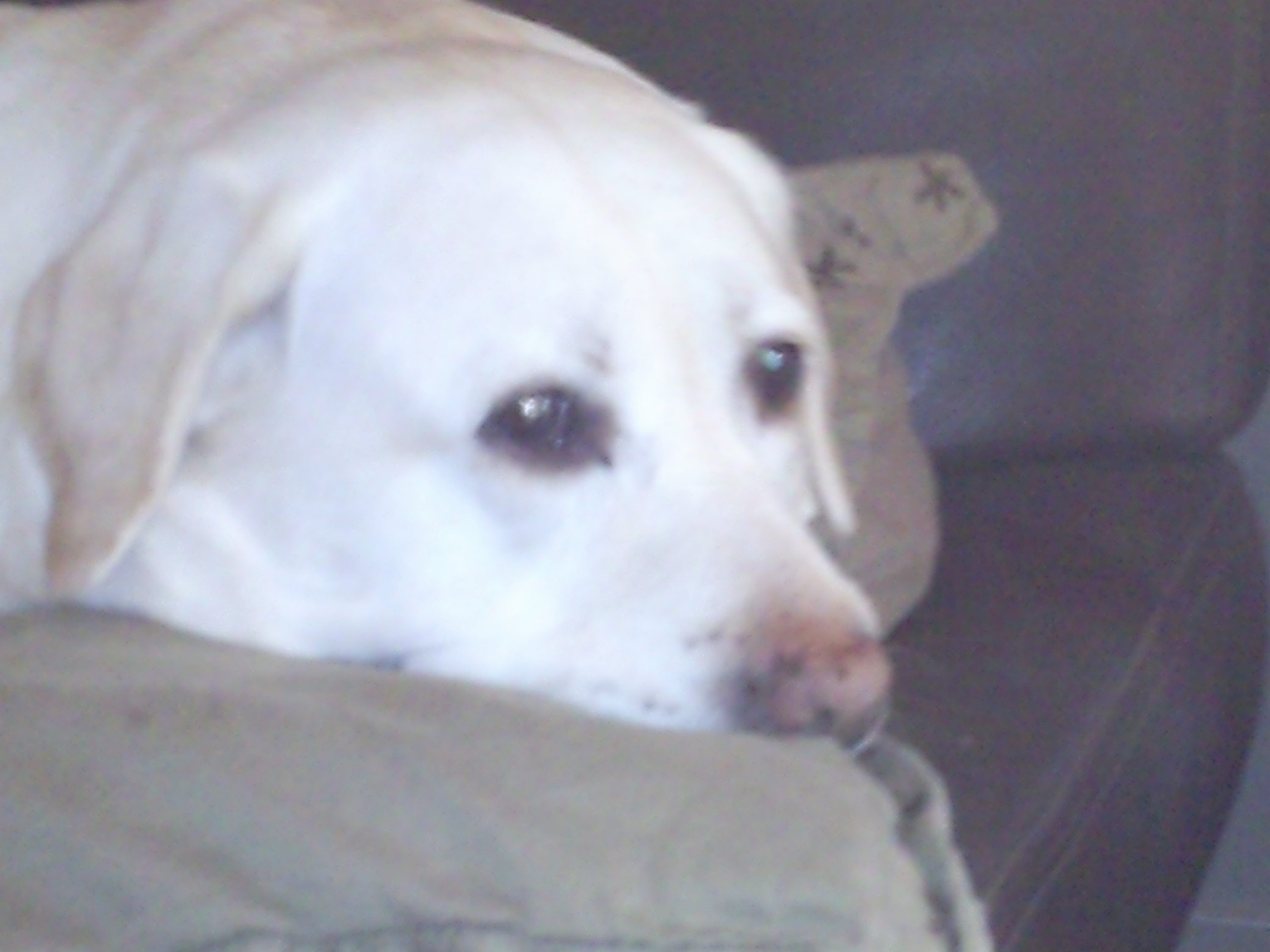 Photo0009