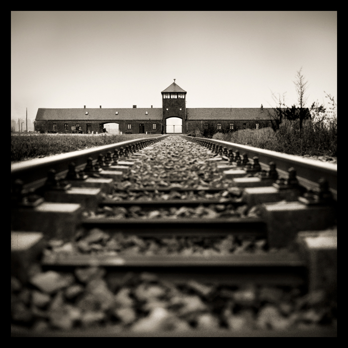Auschwitz (La série) 091027040948718464726063