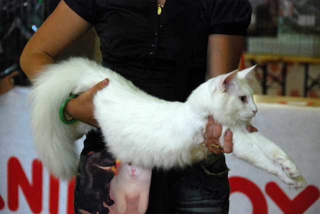 dsc7486t[1]