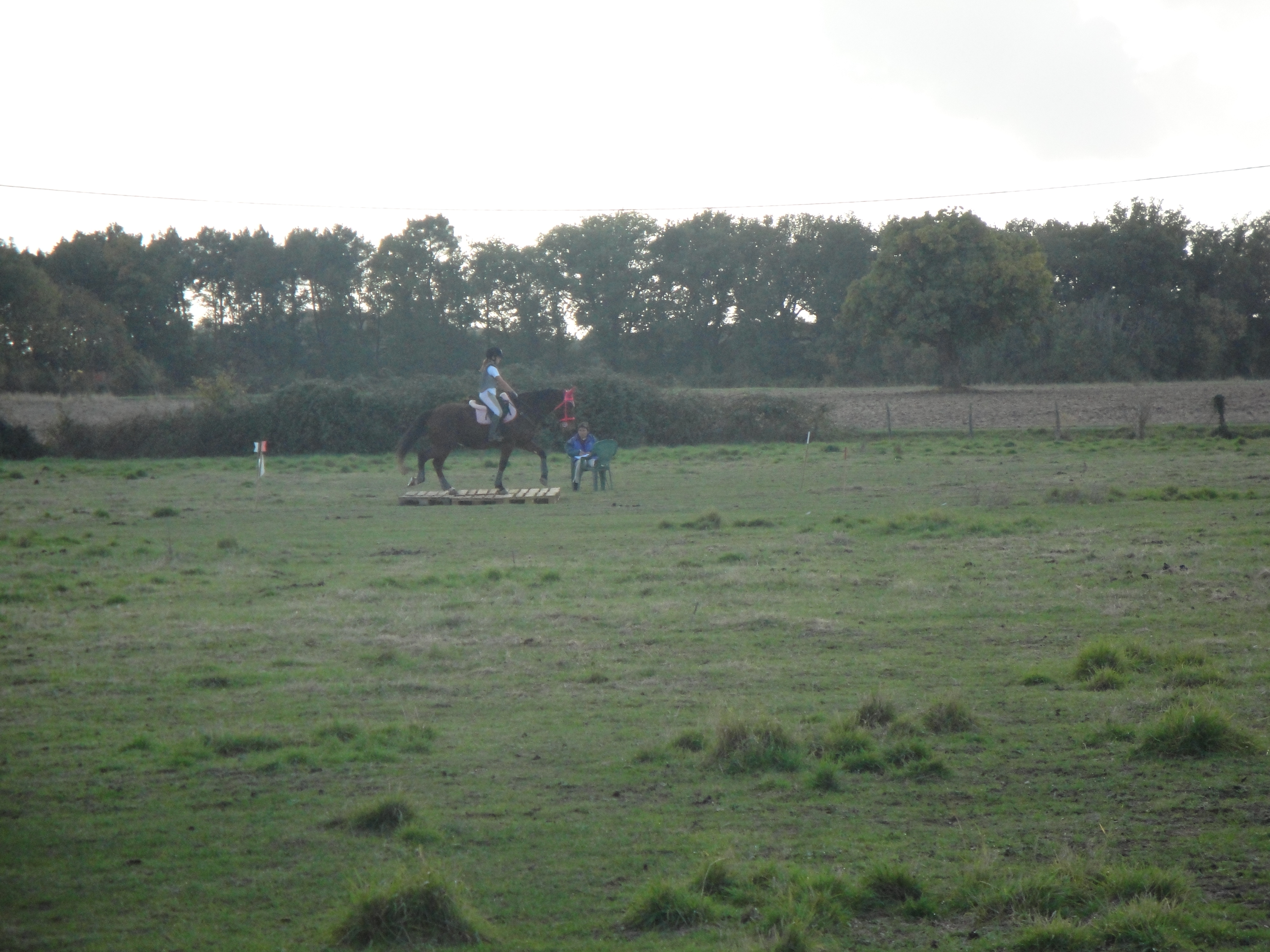DSC09301