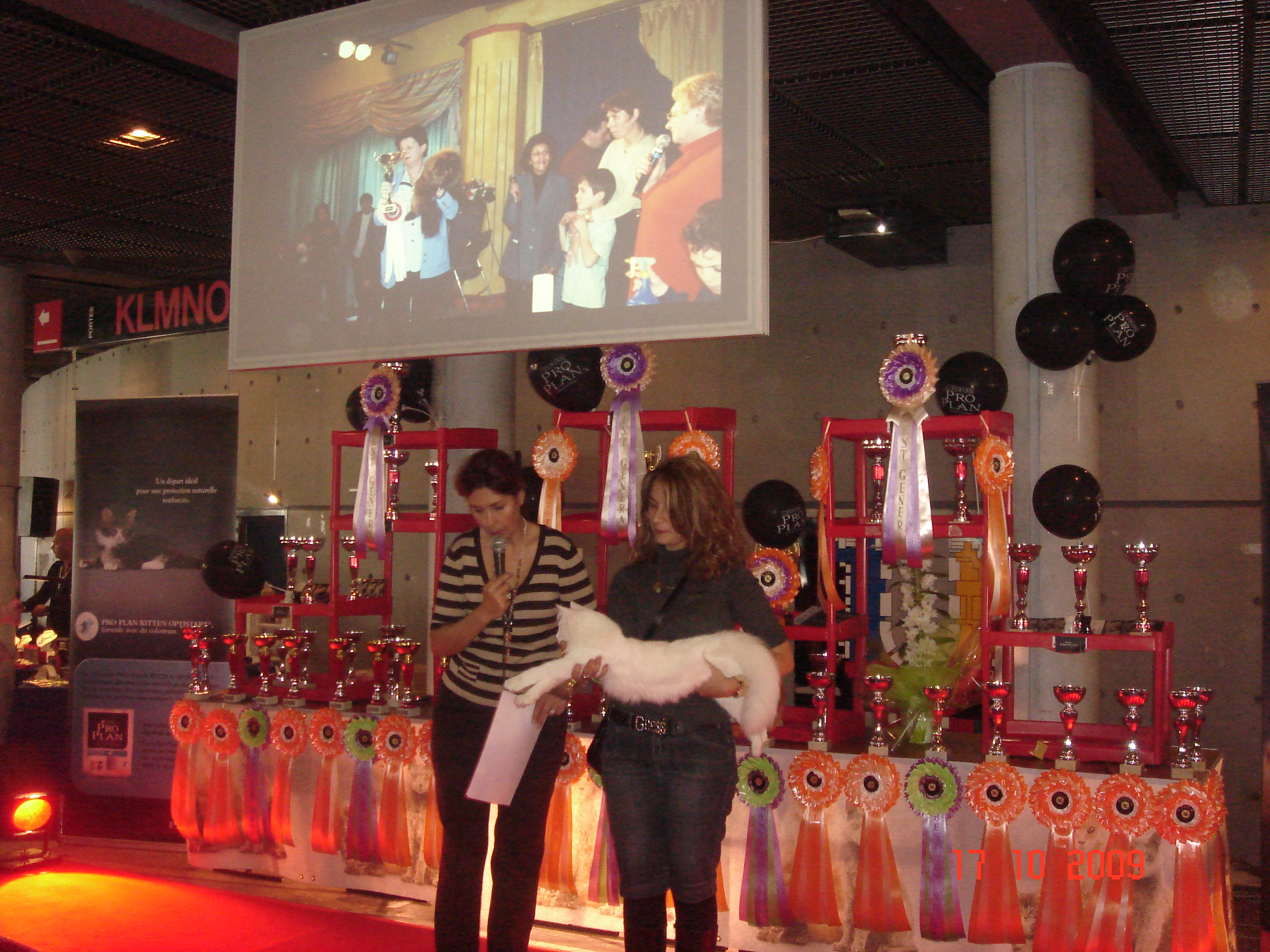 DSC06106
