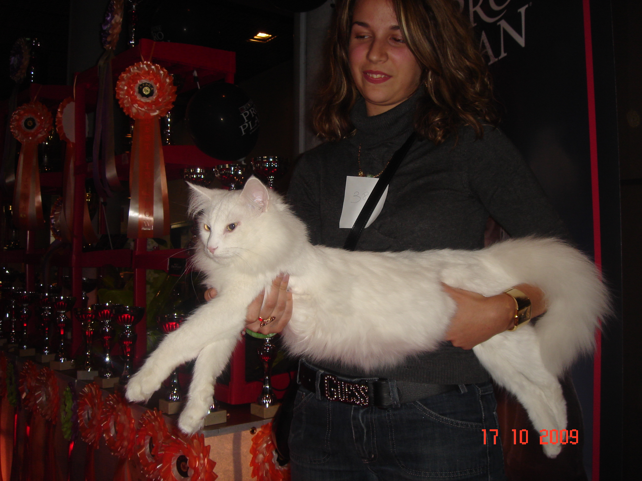 DSC06120
