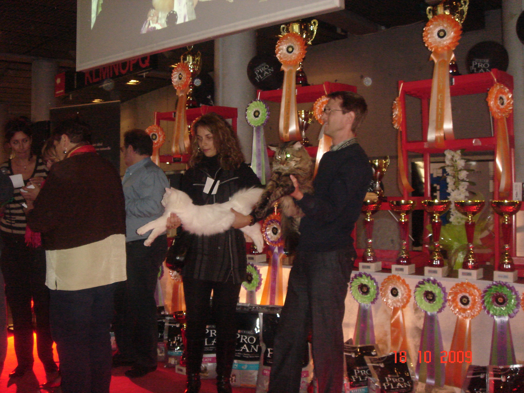 DSC06149