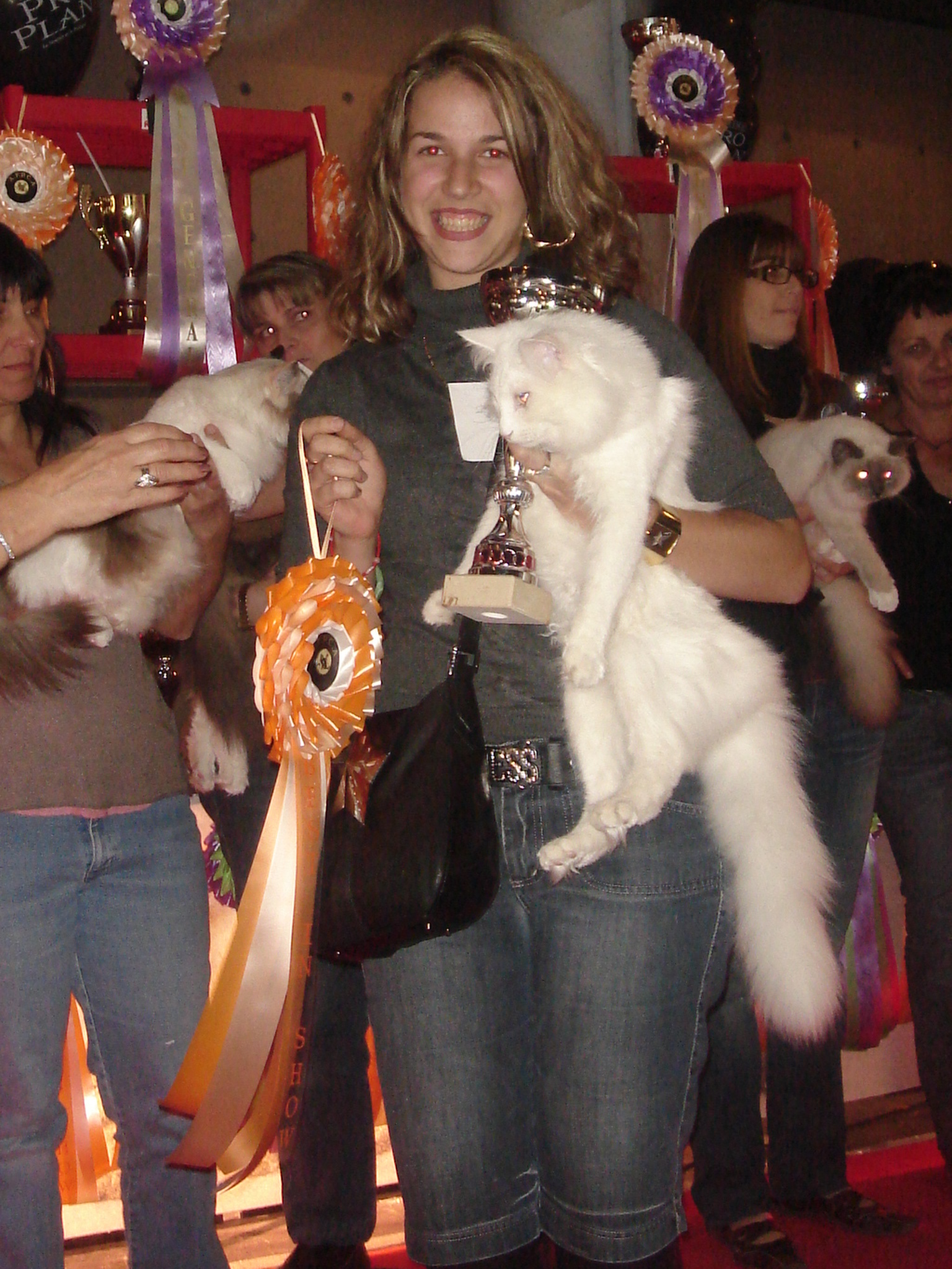 DSC06133