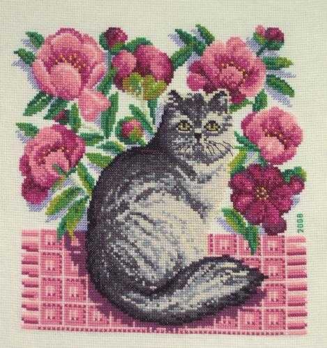 dmc_chatpivoines
