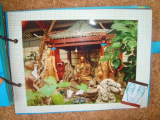DSC08766