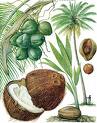 images00