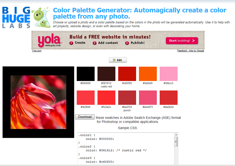 Color palette generator 091105075910814594792820