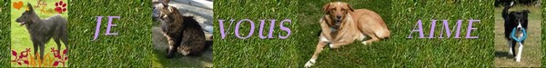 propreté - propreté 091107074314381334805678