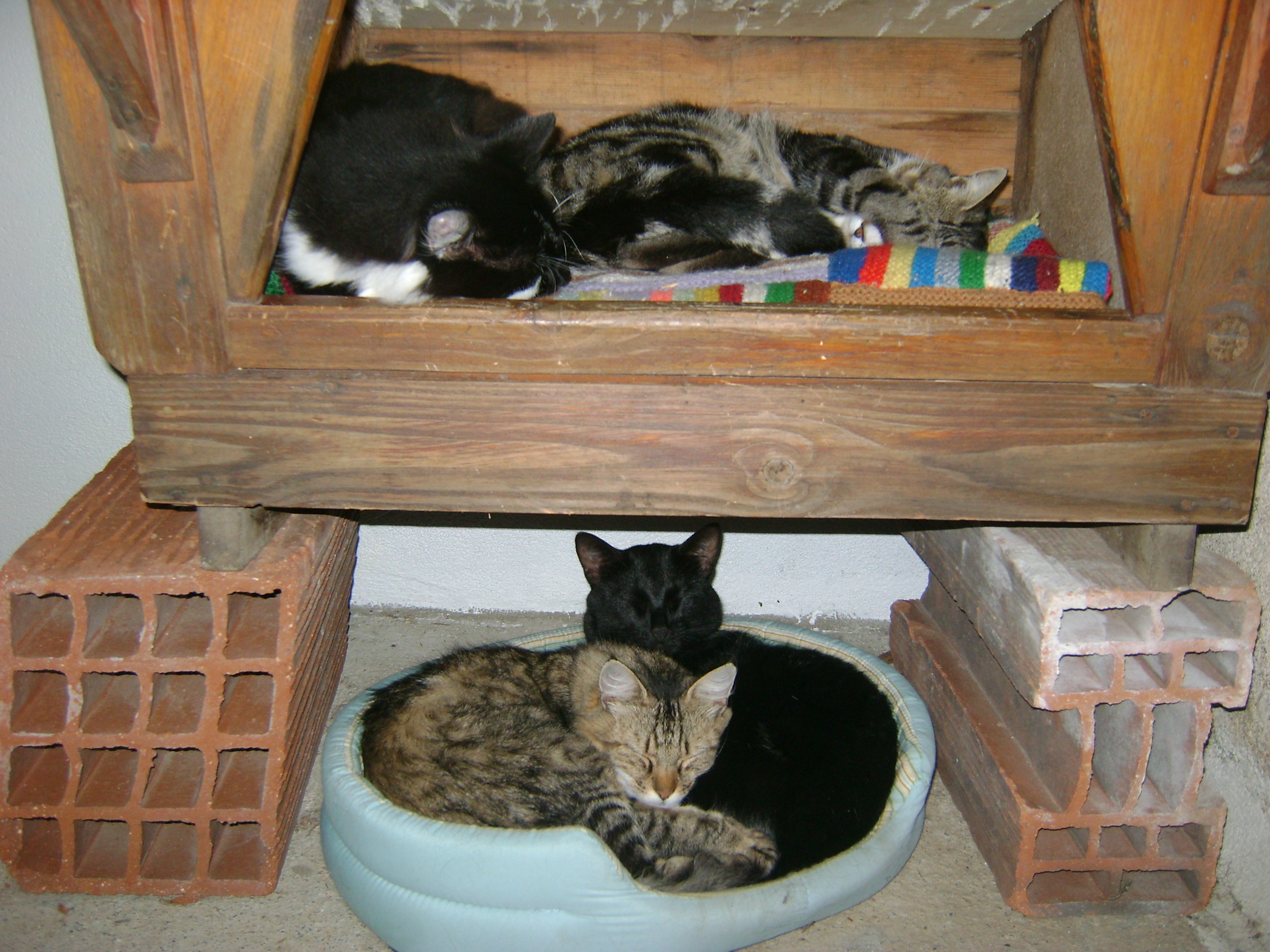 DSC02801