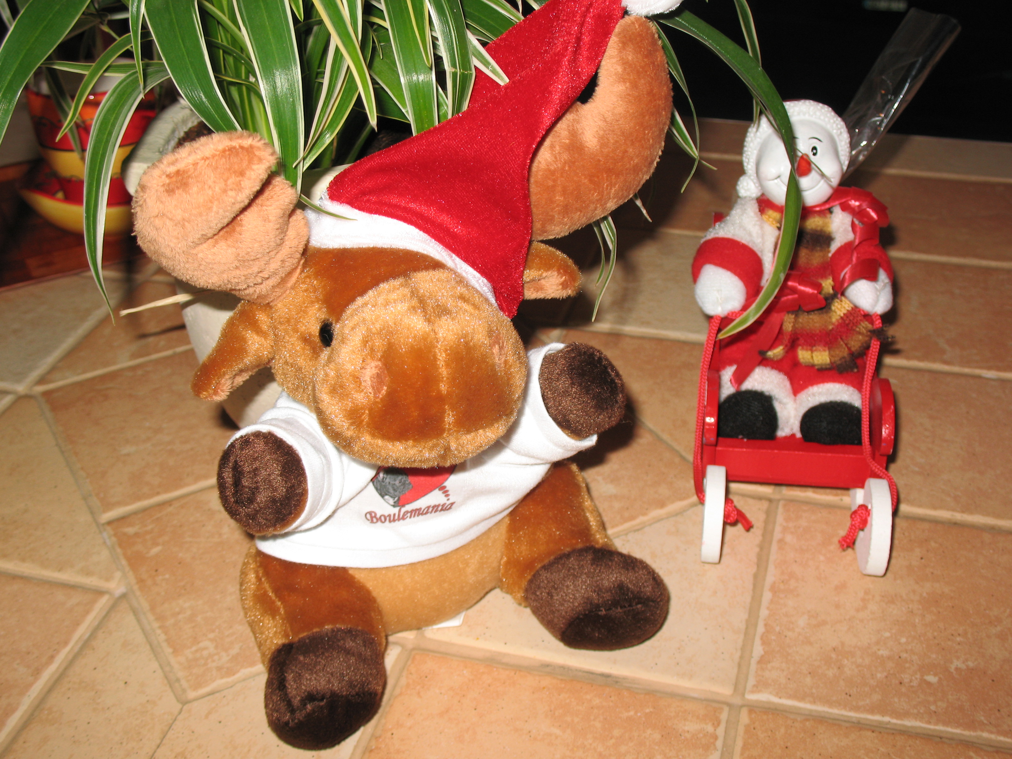foto d&eacute;co noel 006