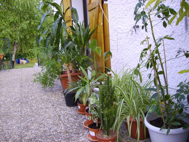 AVRIL 2009 (20)