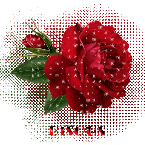 35iqosmd