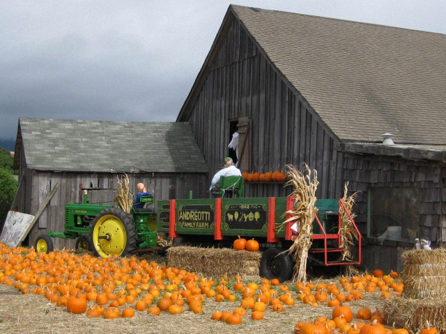 Les tracteurs américains d'Halloween 2009 091129095805659344960156