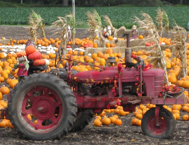 Les tracteurs américains d'Halloween 2009 091129095805659344960159