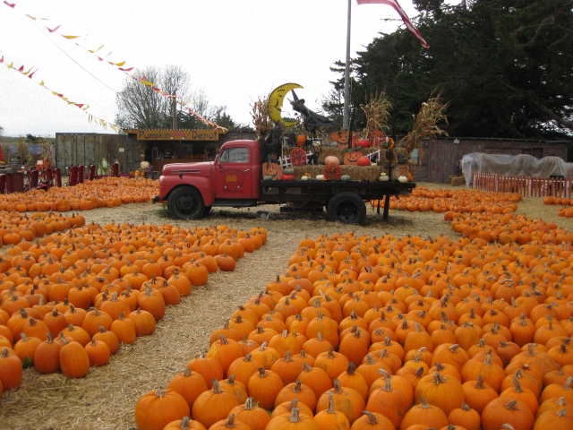 Les tracteurs américains d'Halloween 2009 091129095830659344960171