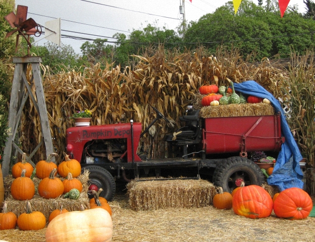 Les tracteurs américains d'Halloween 2009 091129095855659344960196
