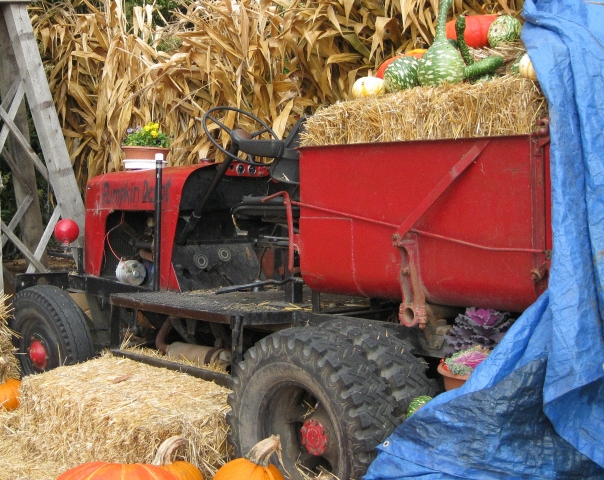 Les tracteurs américains d'Halloween 2009 091129095855659344960197