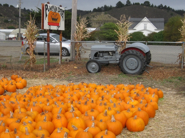 Les tracteurs américains d'Halloween 2009 091129095856659344960201