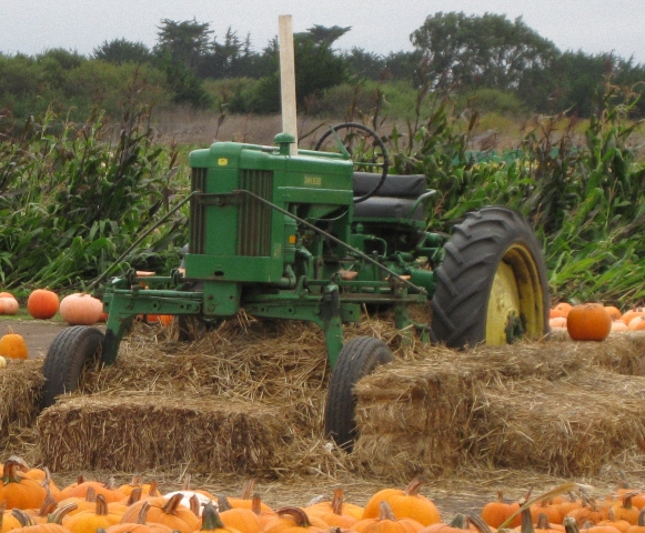 Les tracteurs américains d'Halloween 2009 091129095856659344960205