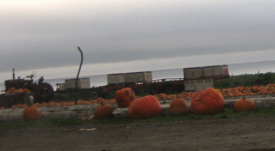 Les tracteurs américains d'Halloween 2009 - Page 2 091129095915659344960218