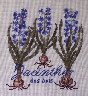 agnesgranouillac_sfv_jacinthes