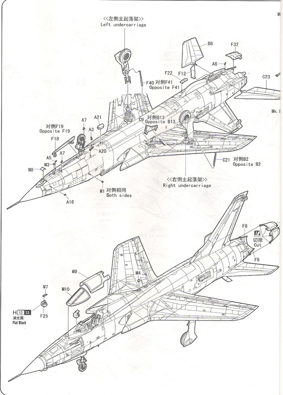 [HobbyBoss] F-105D Thunderchief 091211054900476905037334