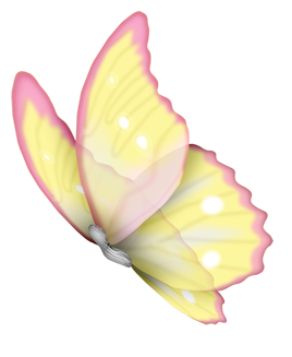 Butterfly2