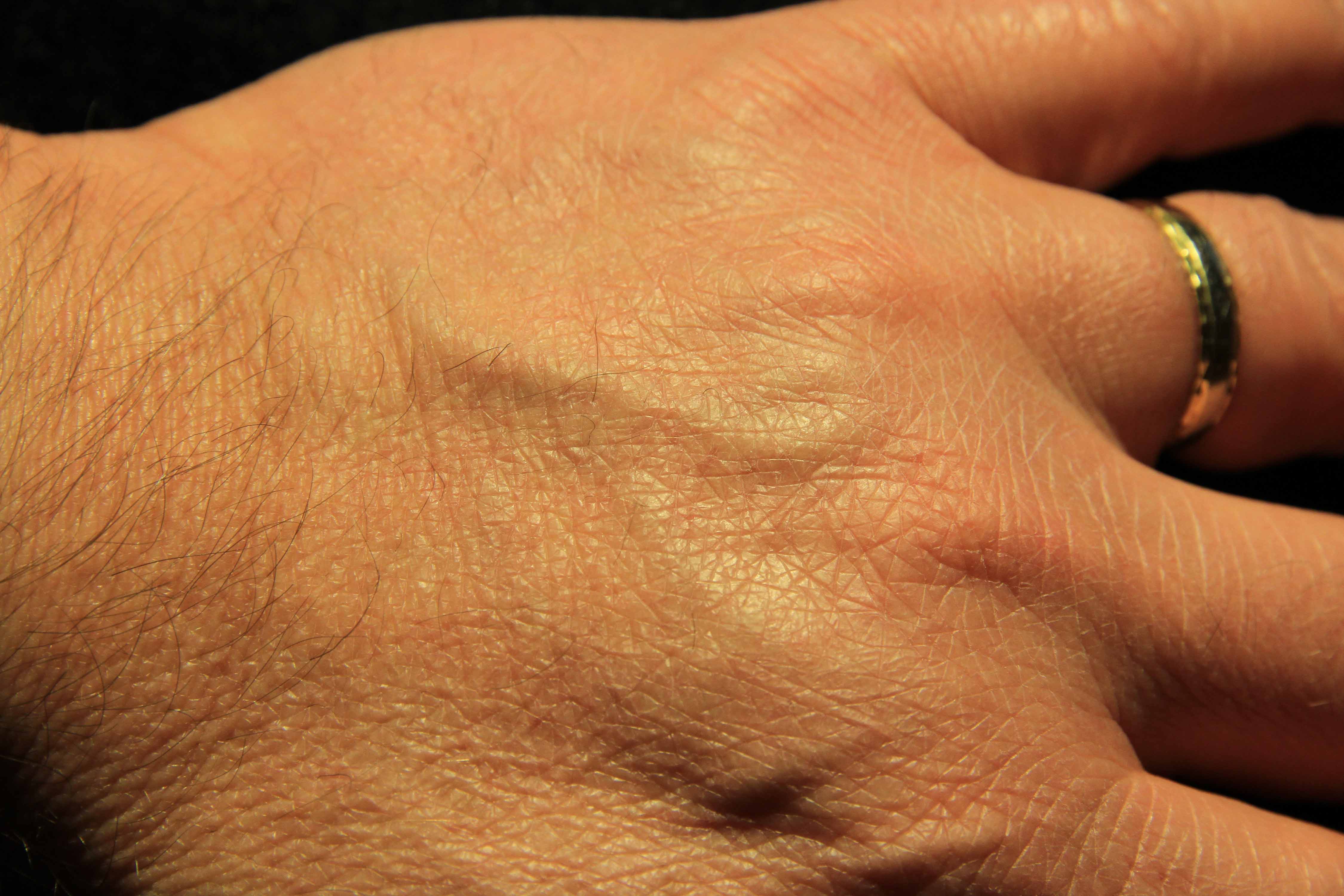 640 iso - 1.30 - f8 - 85mm