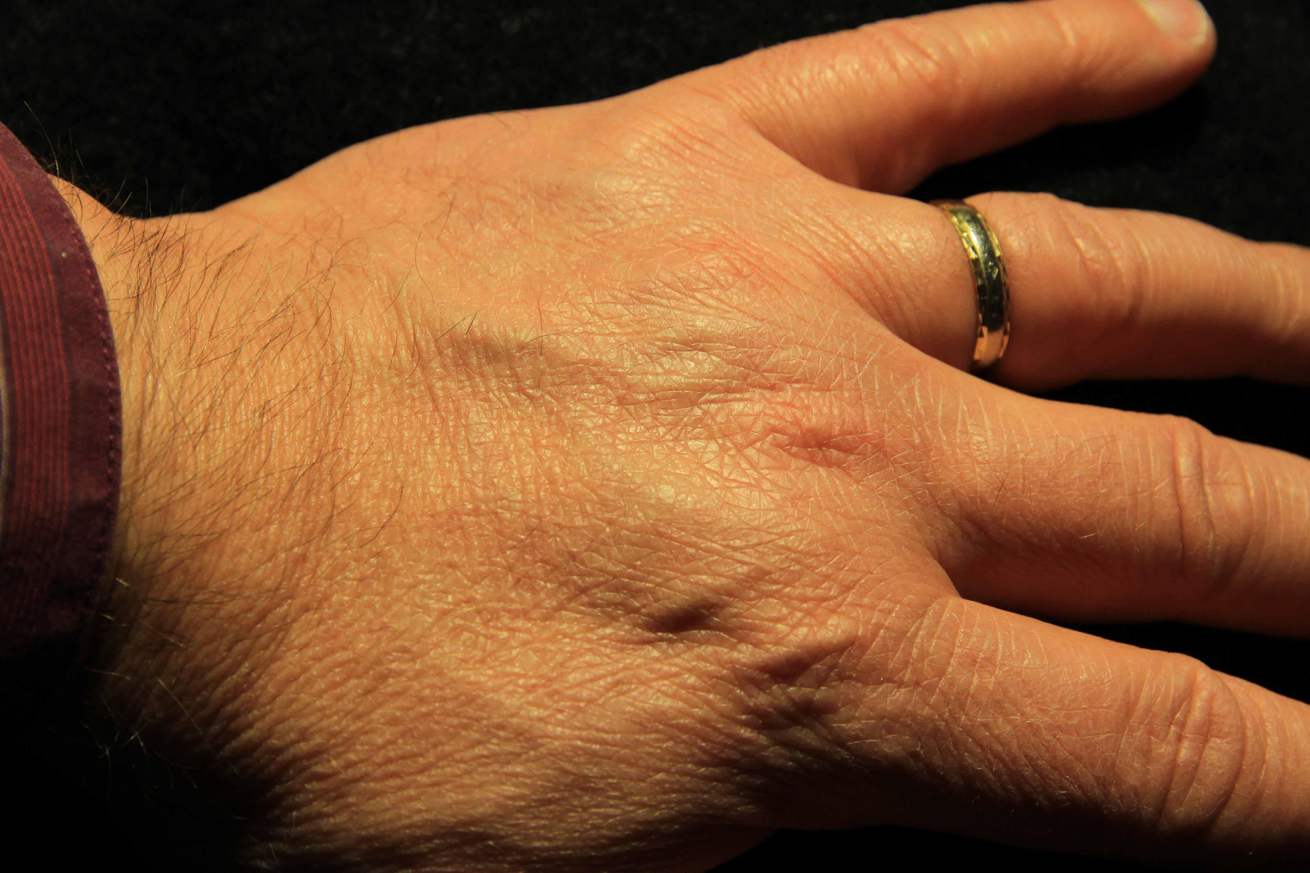 iso 640 - 1.50 - f7.1 - 50 mm