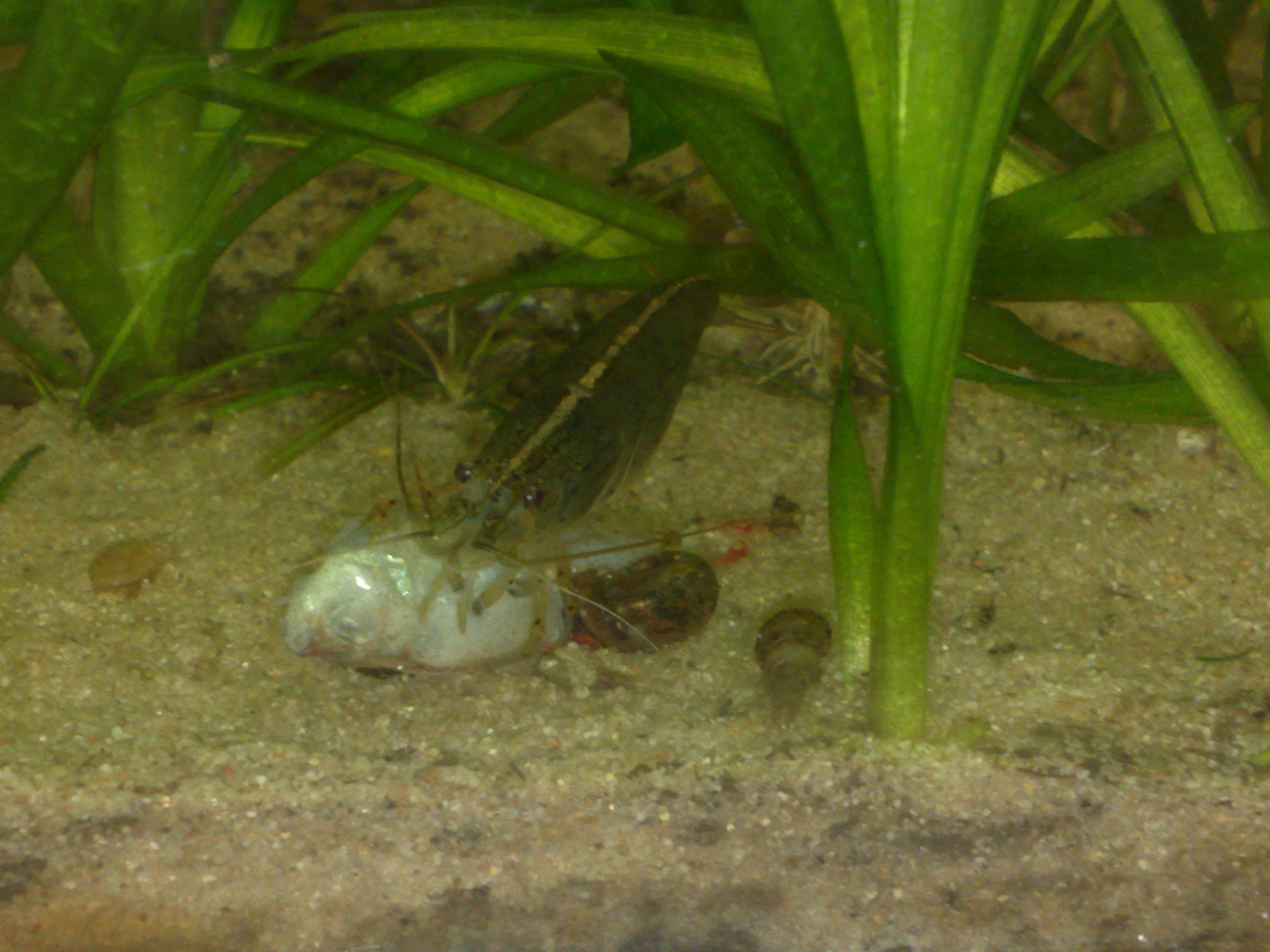 photo22