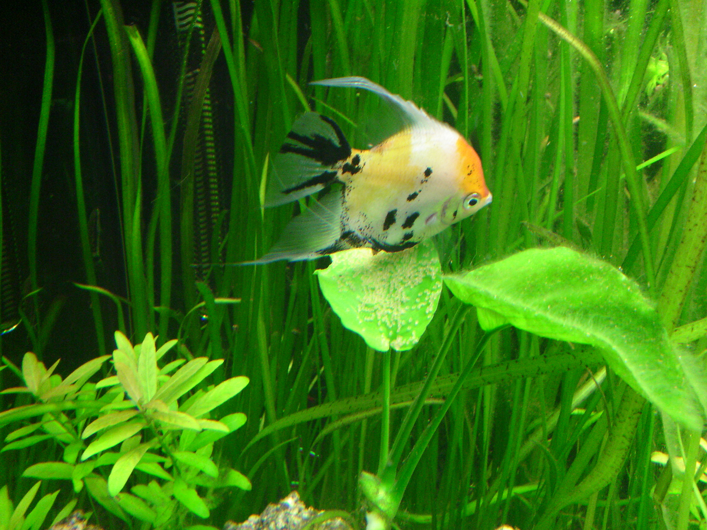 photo20