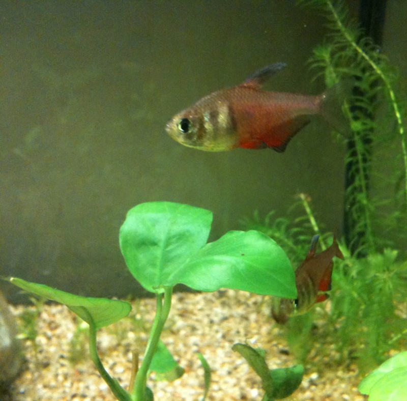 photo21