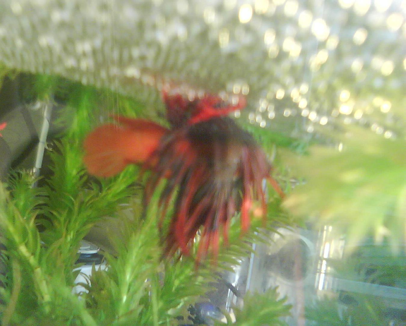 photo04