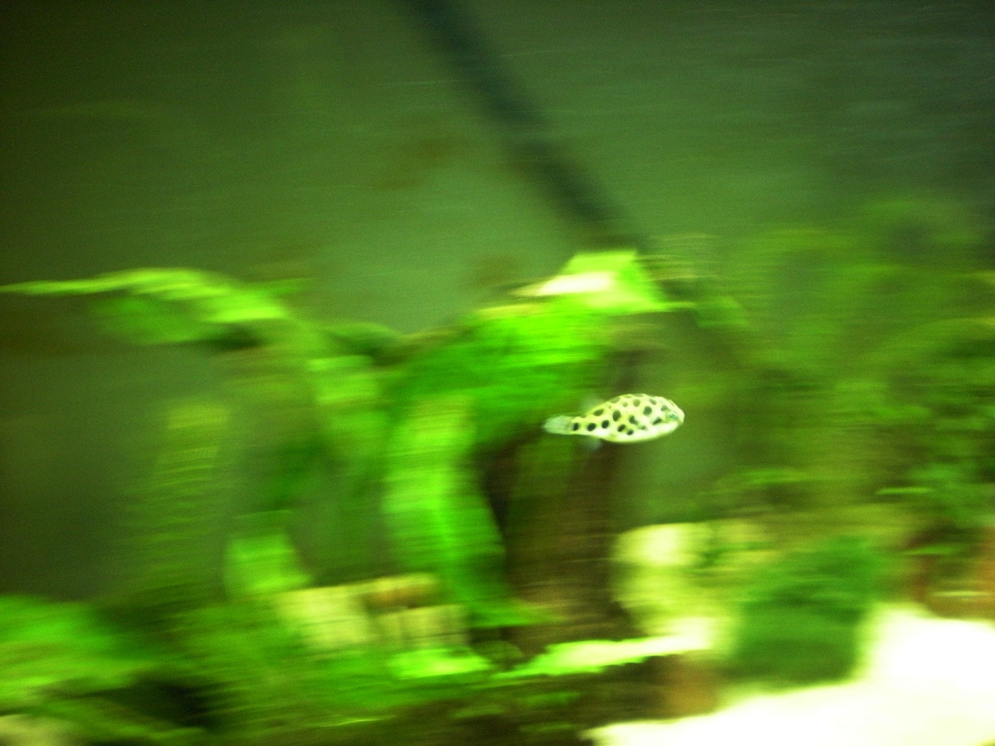 photo09