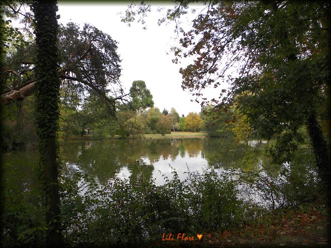 Image hébergée par Casimages.com : votre hébergeur d images simple et gratuit