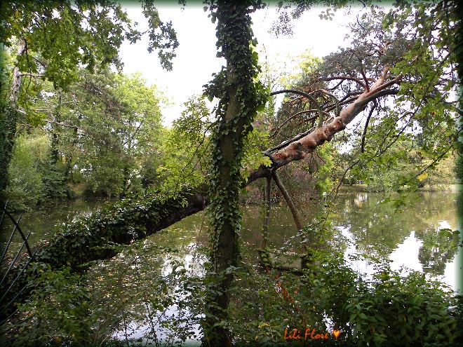 Image hébergée par Casimages.com : votre hébergeur d images simple et gratuit