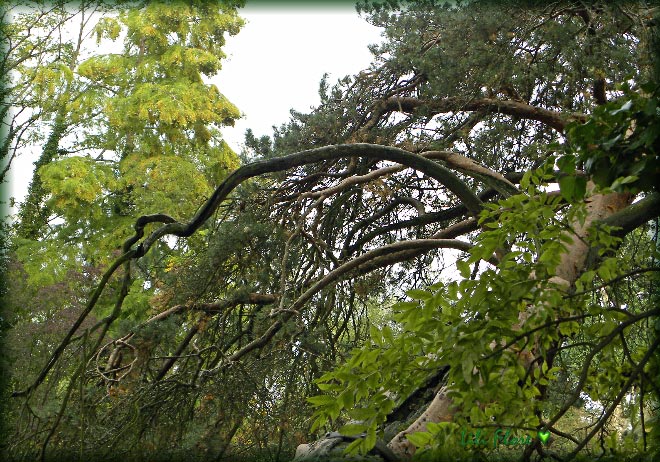 Image hébergée par Casimages.com : votre hébergeur d images simple et gratuit