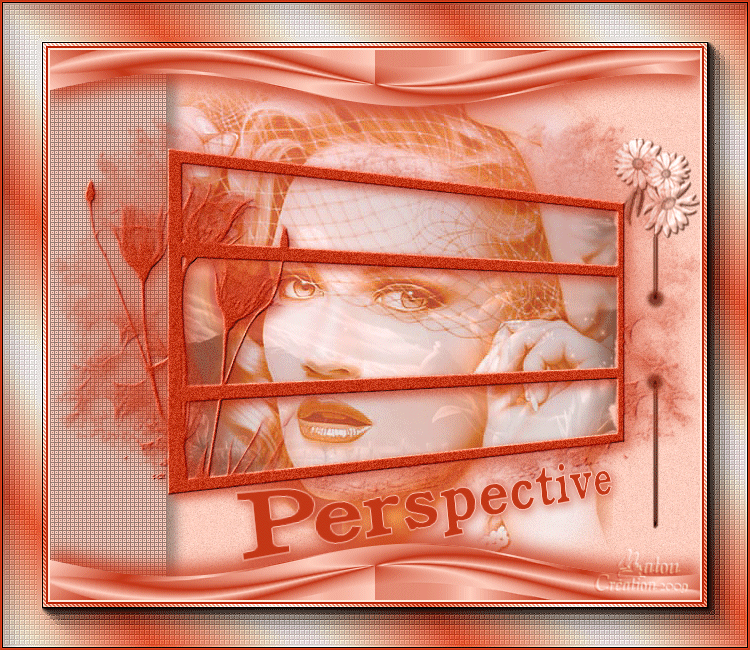 ~~ Perspective ~~ 091218114708773165079455