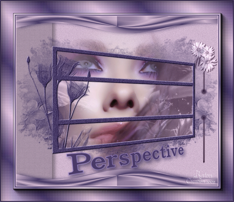 ~~ Perspective ~~ 091218114708773165079459