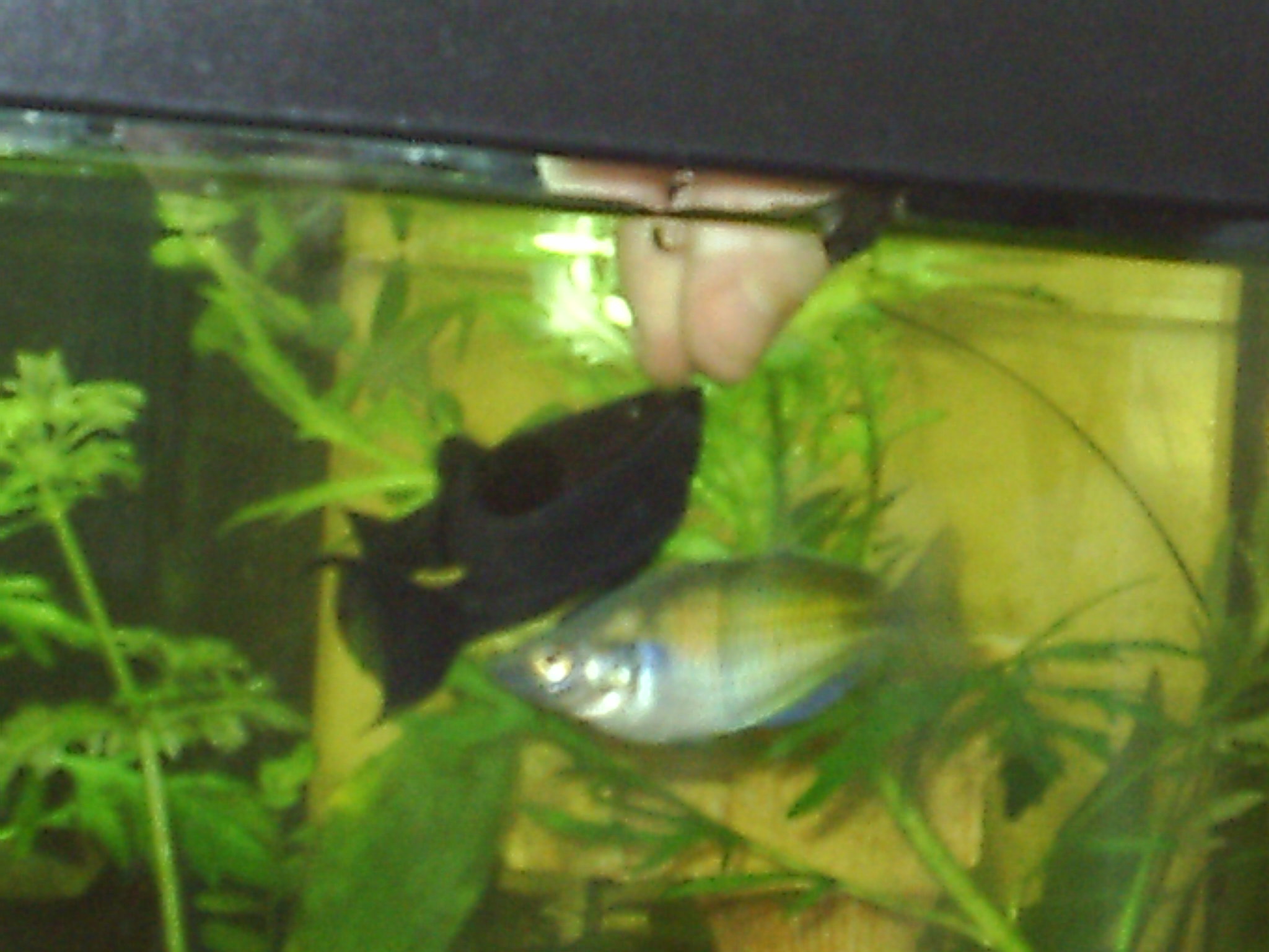 photo29