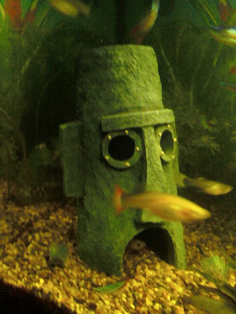 photo33