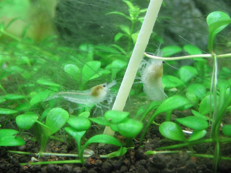 photo37