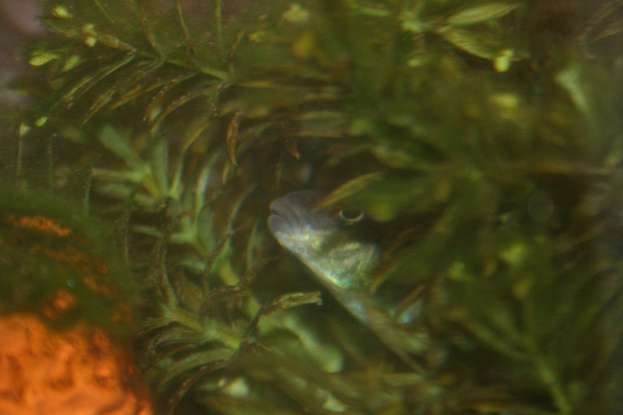 photo40