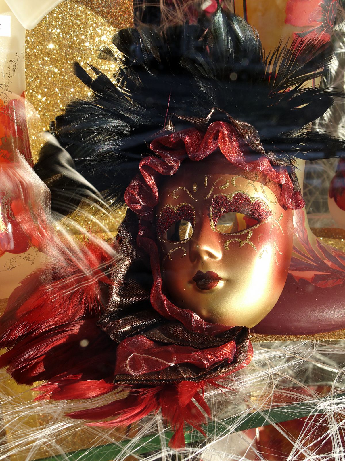 IMG_0121_DxO 3_raw [1600x1200]