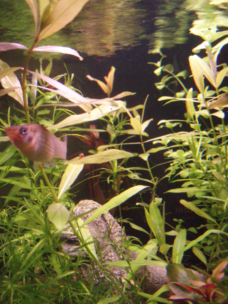 photo42